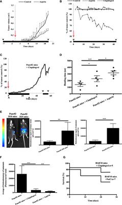 P2RY12-Inhibitors Reduce Cancer-Associated Thrombosis and Tumor Growth in Pancreatic Cancers